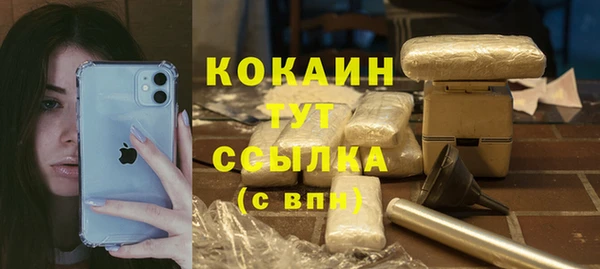 прущие грибы Нефтекумск