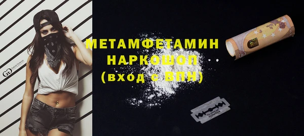 прущие грибы Нефтекумск