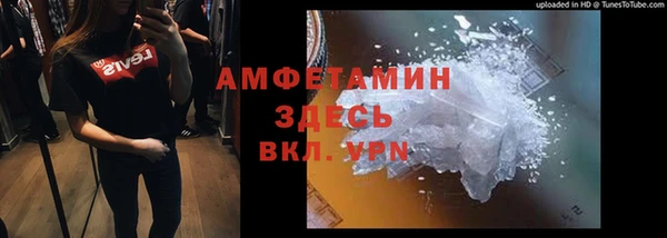 прущие грибы Нефтекумск
