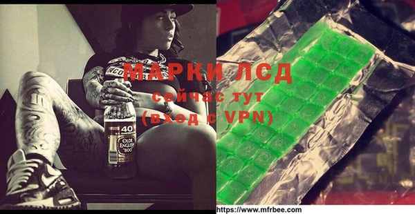 прущие грибы Нефтекумск
