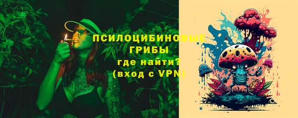 прущие грибы Нефтекумск